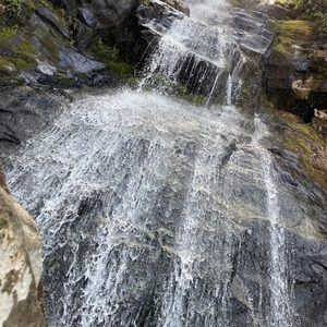 Meet your Posher, Steve